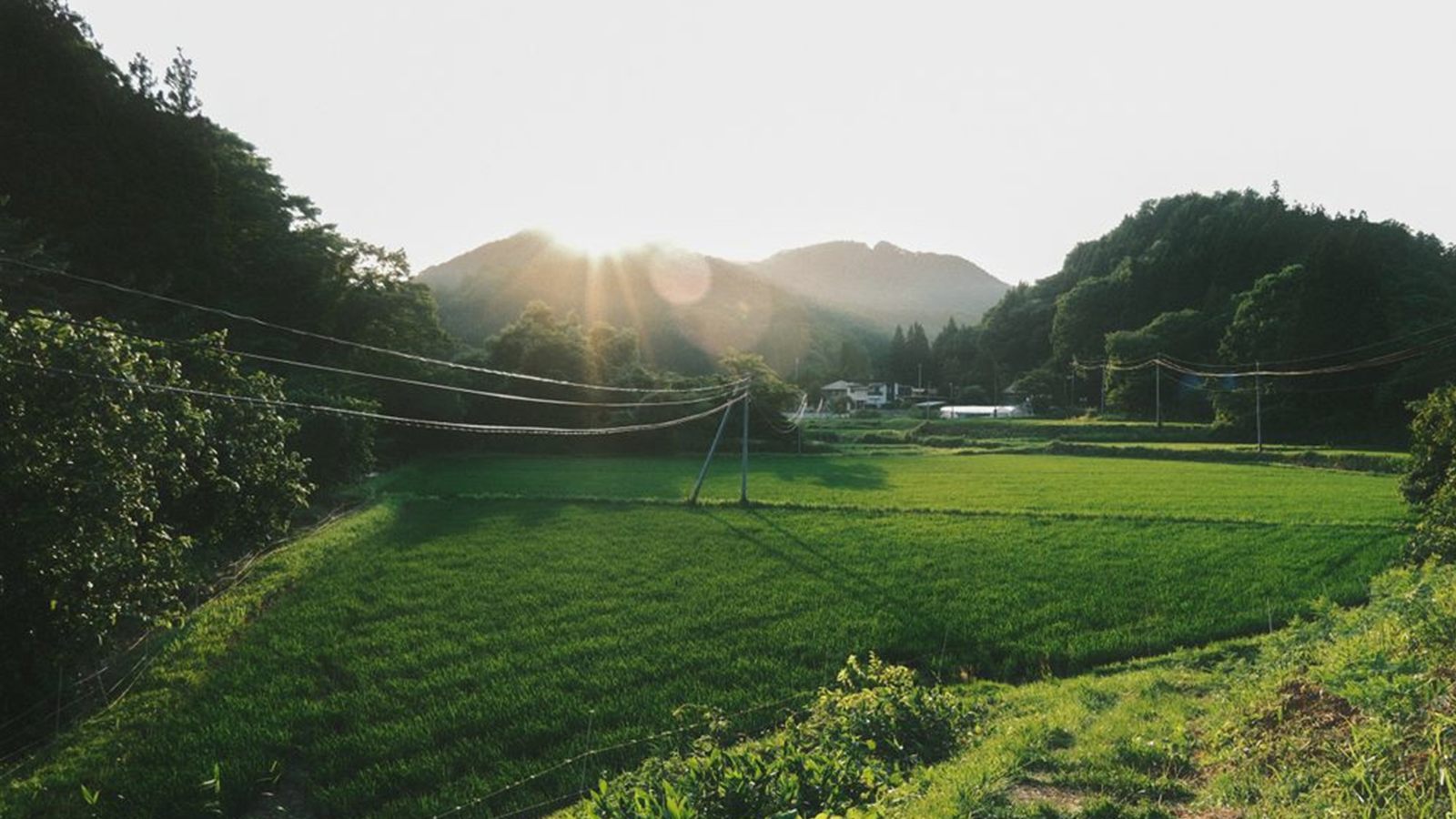 山あいの田園と夕方の光が広がる長野の田舎暮らしをイメージした風景